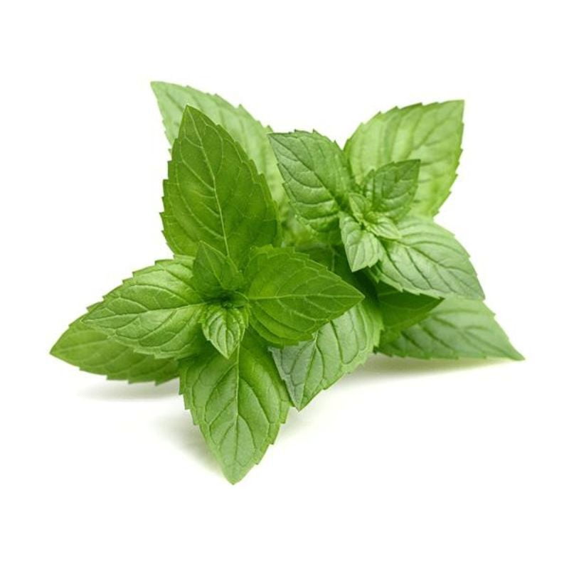 Menthe Menthe