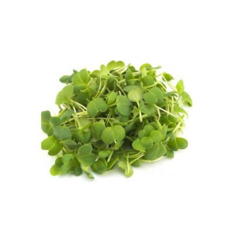 Roquette Roquette